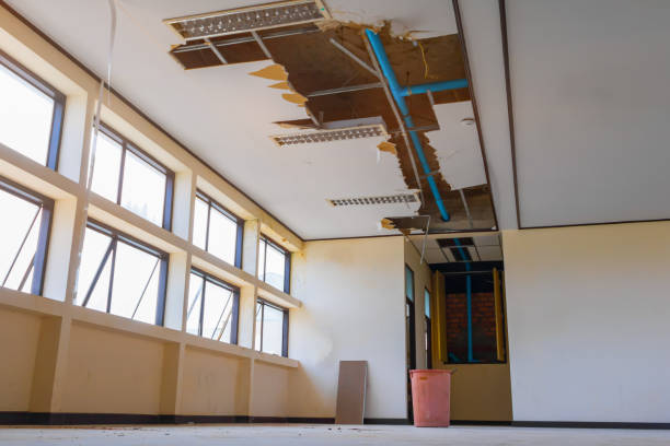 Best Ceiling water damage repair  in Egypt Lake Leto, FL