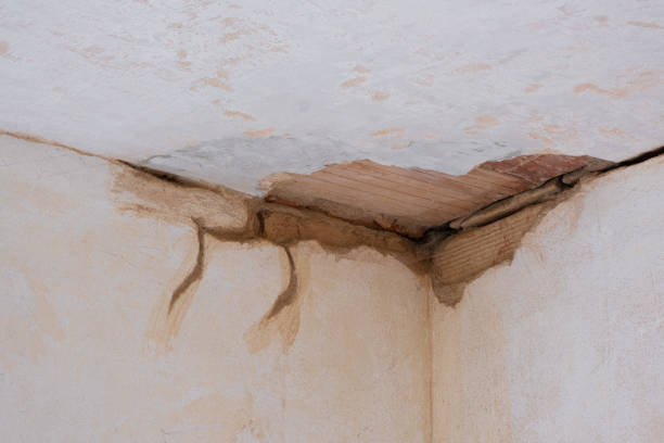 Best Sewage cleanup and water damage restoration  in Egypt Lake Leto, FL
