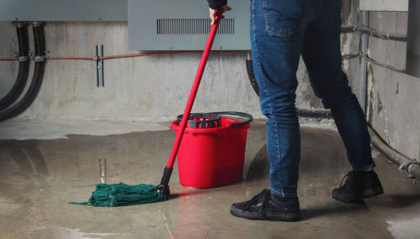 Best Water damage repair service  in Egypt Lake Leto, FL