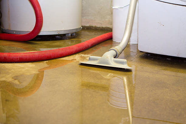 Best Flooded house restoration  in Egypt Lake Leto, FL