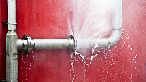 Best Carpet water damage restoration  in Egypt Lake Leto, FL
